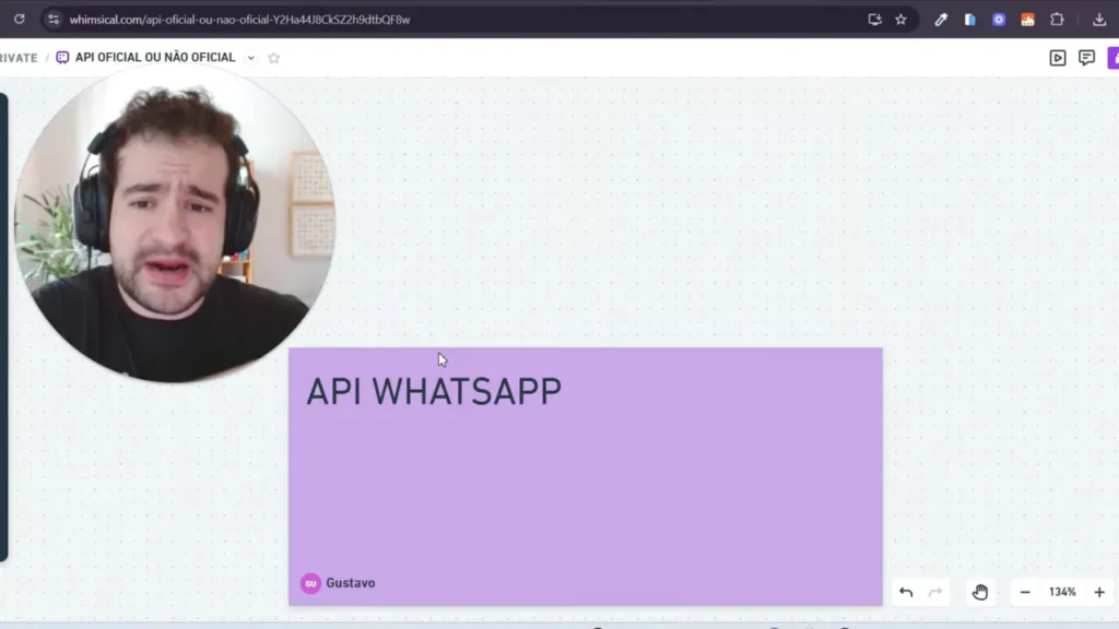 captura de tela limpa do slide API WHATSAPP com o quadro lilás em destaque e rosto do apresentador em círculo à esquerda